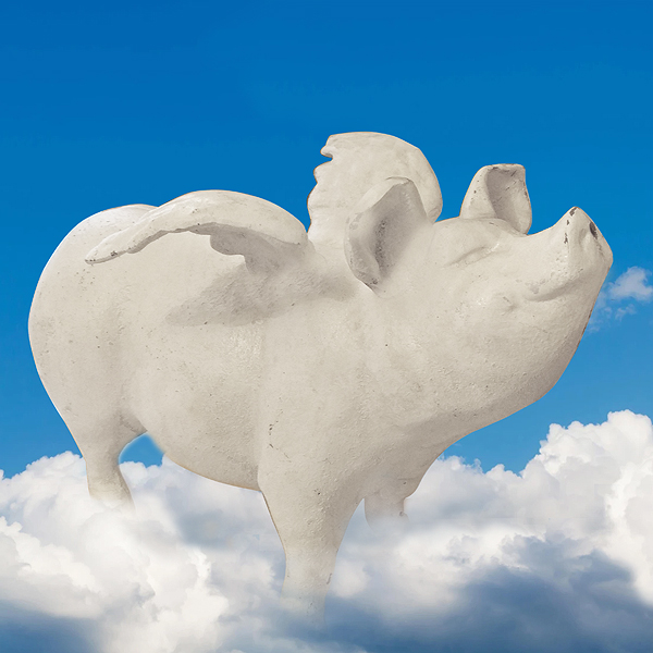 Decorative image of a white pig with wings, standing on a cloud