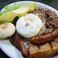 Bringing It Home at the Susquehanna Folk Festival