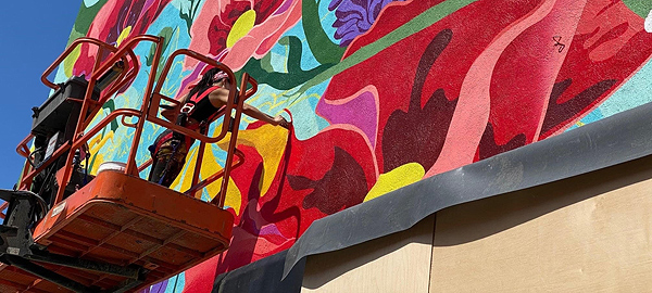 Aron Rook stands on a scaffold several feet above the ground to paint the flower mural.  She is wearing black pants and tank shirt, and a red safety harness. She is very slender and has muscular arms.