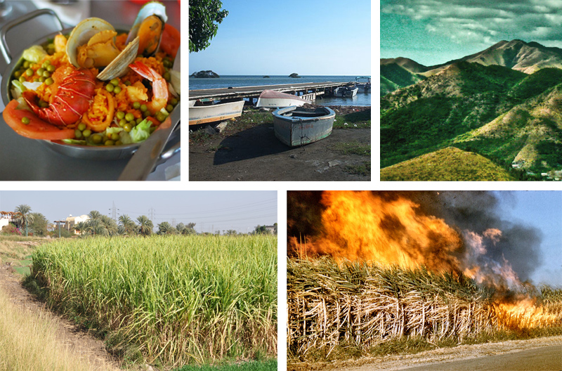 Top left: a very pretty bowl of paella, a seafood stew containing shellfish, shrimp, lobster tail and vegetables. Top center: several rowboats pulled up on the beach.  Top right: the picturesque mountains of Cordillera Central.  Bottom left: a field of green sugar cane with palm trees in the background.  Bottom right: a field of sugar cane being burned off before harvesting: smoky flames are raging and the dry cane fronds at the edge of the field are blowing in the direction that the fire is spreading.